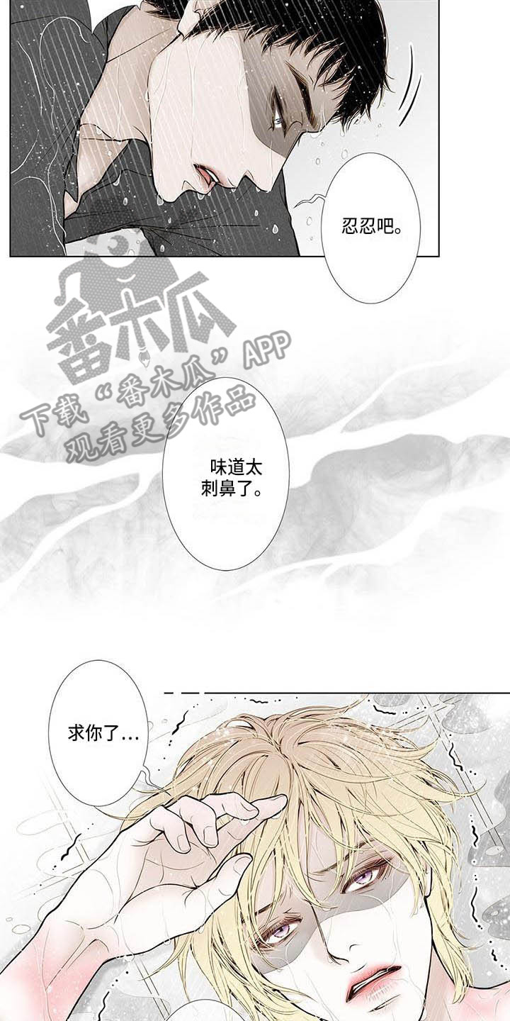 《美味佳肴》漫画最新章节第13章不会放过你免费下拉式在线观看章节第【15】张图片