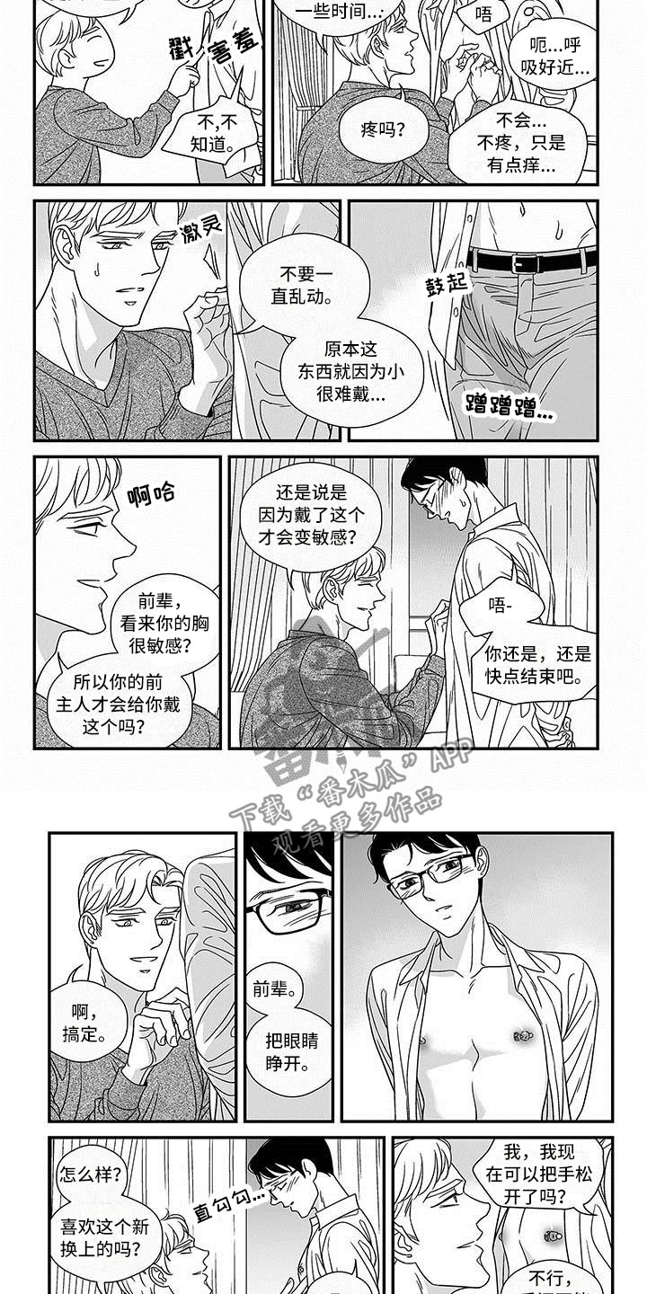 《红色密语》漫画最新章节第17章潜质免费下拉式在线观看章节第【4】张图片