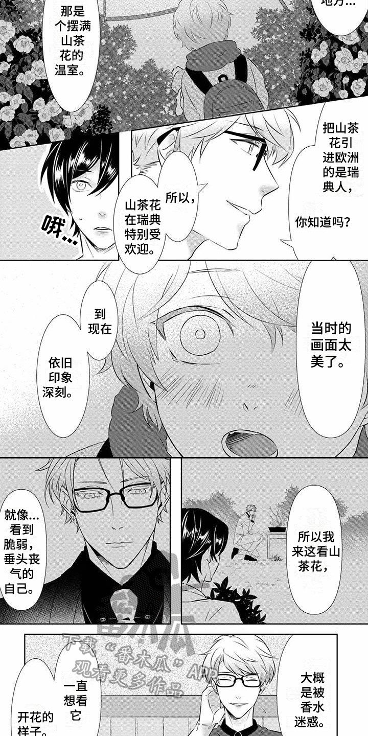 《不见凋零》漫画最新章节第4章奇妙的人免费下拉式在线观看章节第【7】张图片