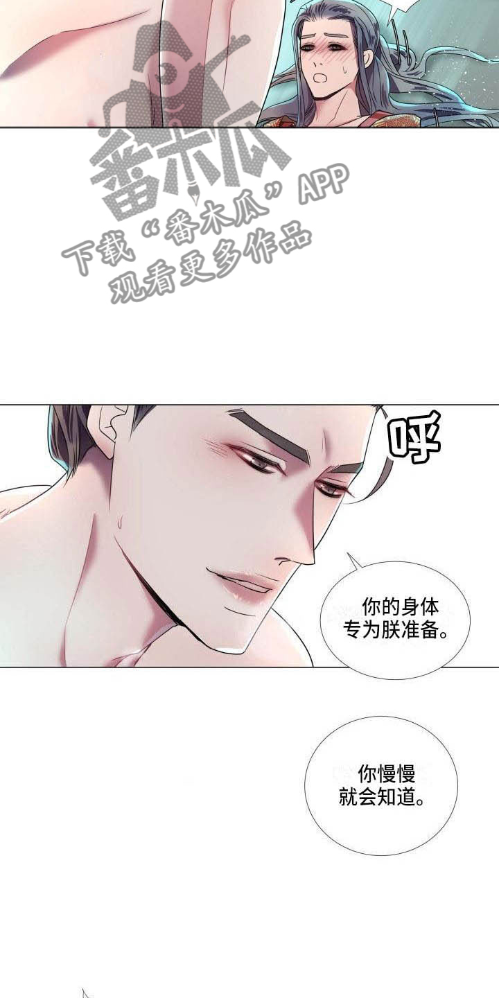 《叹息之夜》漫画最新章节第11章为他而生免费下拉式在线观看章节第【11】张图片