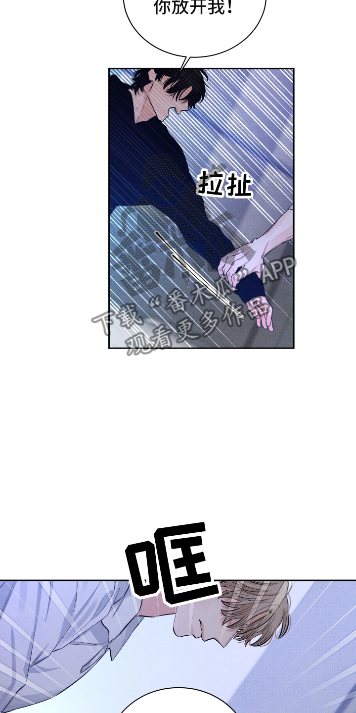 《流星落入掌中》漫画最新章节第16章你是我的免费下拉式在线观看章节第【4】张图片