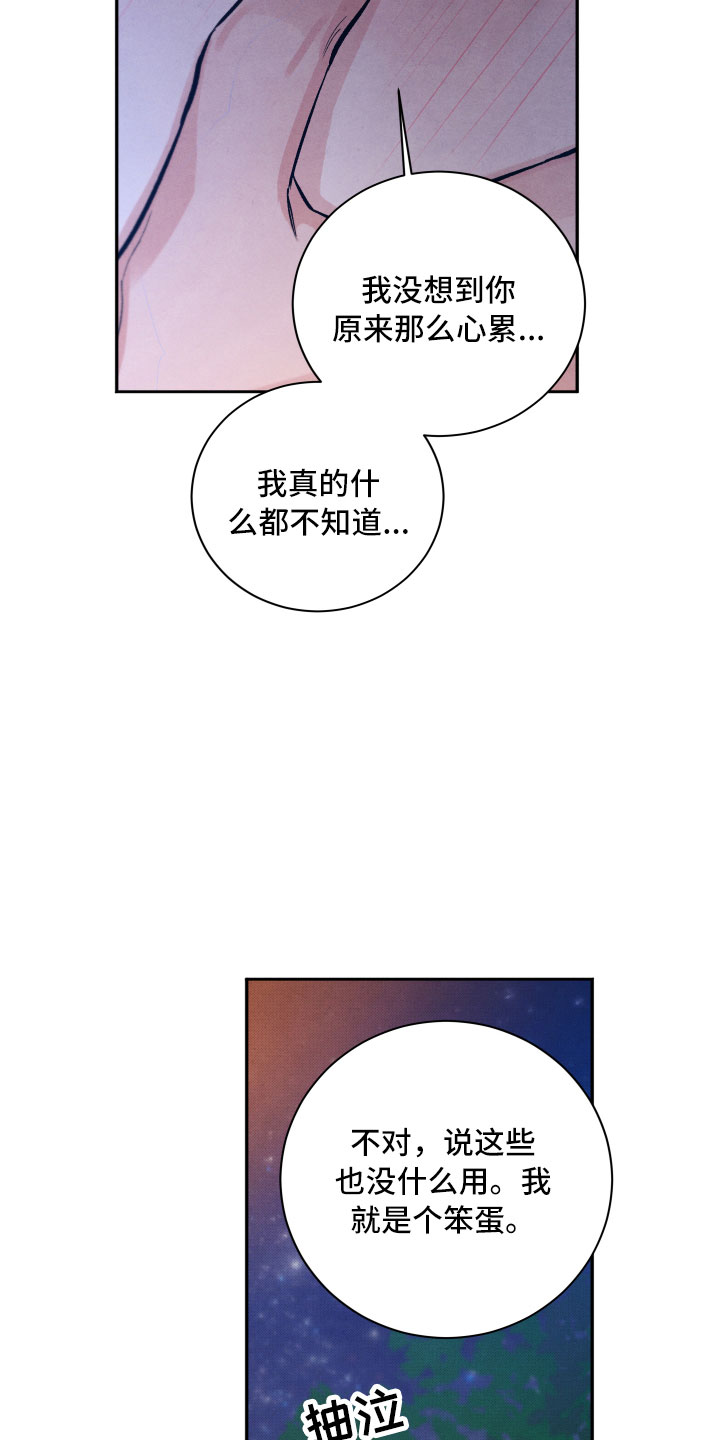 《流星落入掌中》漫画最新章节第16章你是我的免费下拉式在线观看章节第【30】张图片