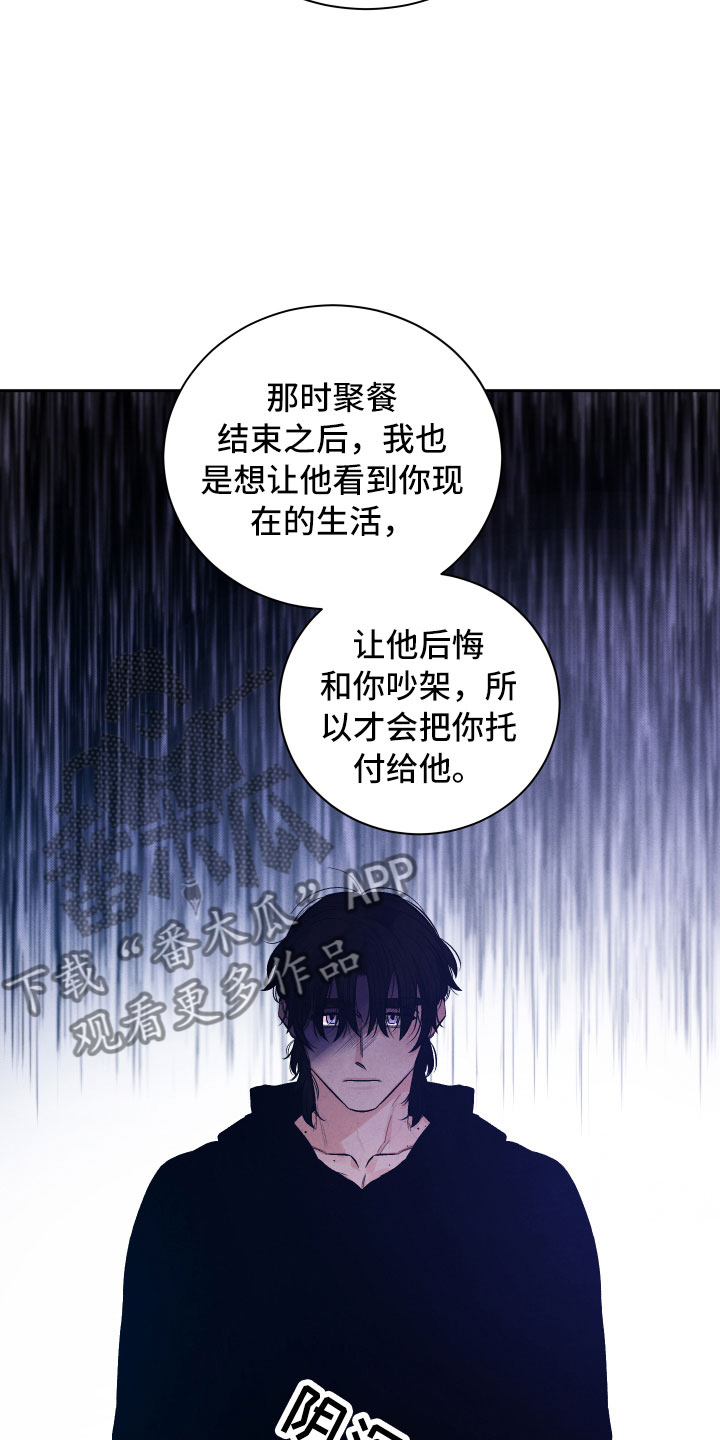 《流星落入掌中》漫画最新章节第17章你选谁？免费下拉式在线观看章节第【5】张图片