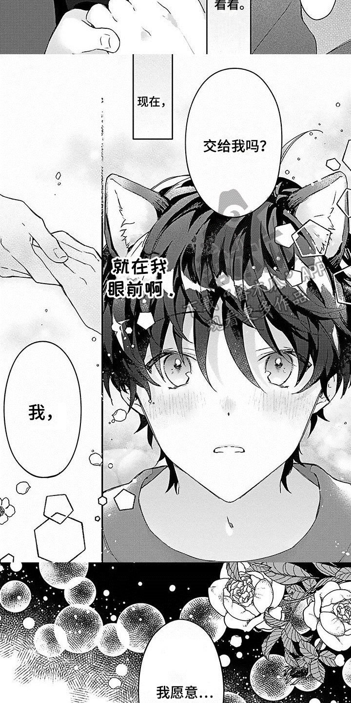 《猫会梦见王子吗》漫画最新章节第4章愿意免费下拉式在线观看章节第【3】张图片