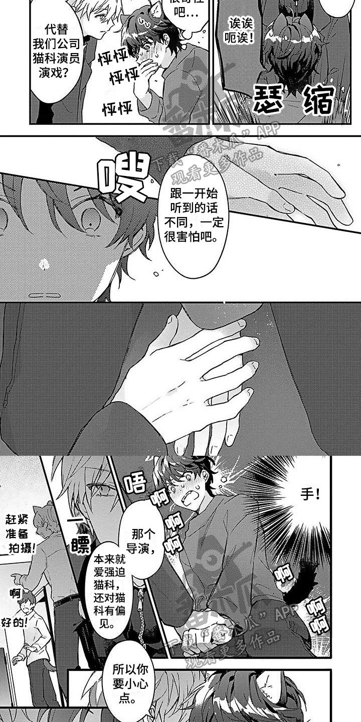 《猫会梦见王子吗》漫画最新章节第4章愿意免费下拉式在线观看章节第【5】张图片