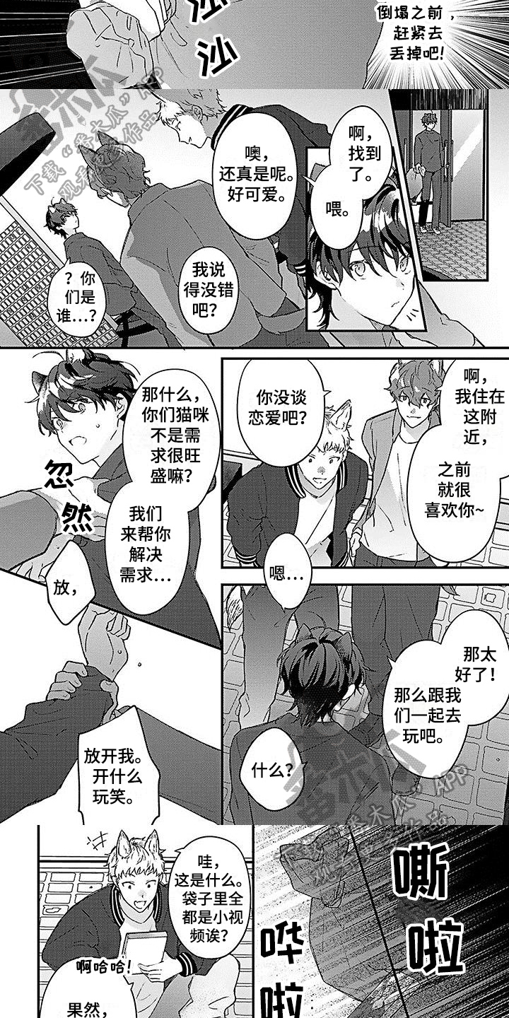 《猫会梦见王子吗》漫画最新章节第7章解围免费下拉式在线观看章节第【3】张图片