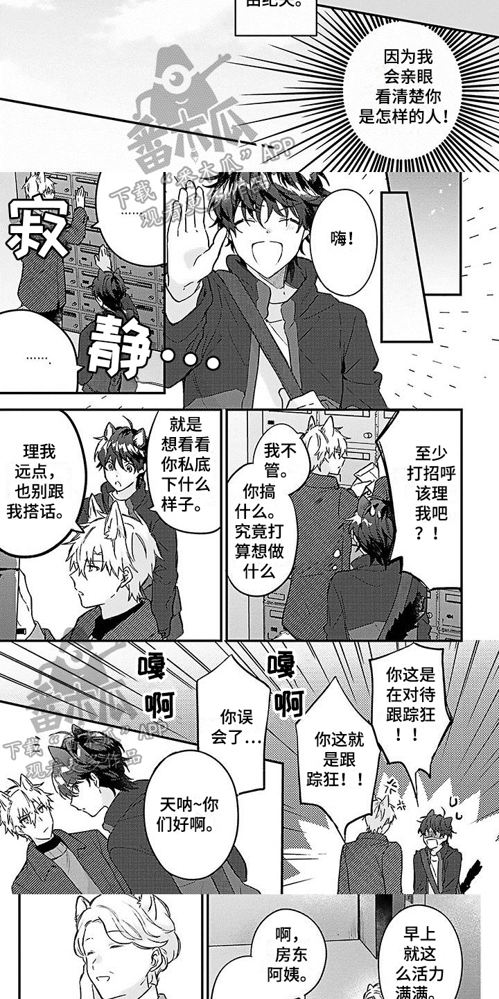 《猫会梦见王子吗》漫画最新章节第9章邻居免费下拉式在线观看章节第【4】张图片