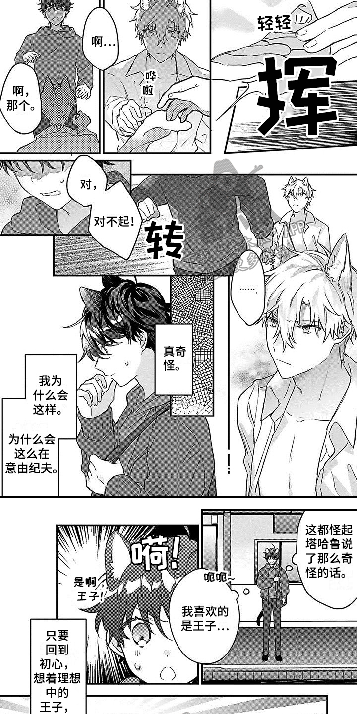 《猫会梦见王子吗》漫画最新章节第15章嫉妒免费下拉式在线观看章节第【5】张图片