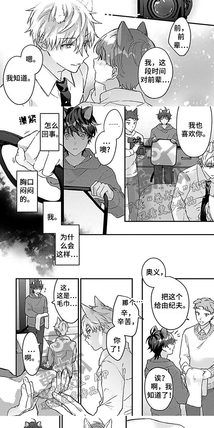 《猫会梦见王子吗》漫画最新章节第15章嫉妒免费下拉式在线观看章节第【6】张图片