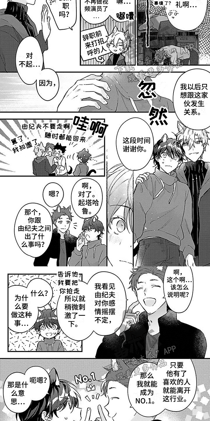 《猫会梦见王子吗》漫画最新章节第20章幸福觉悟【完结】免费下拉式在线观看章节第【4】张图片