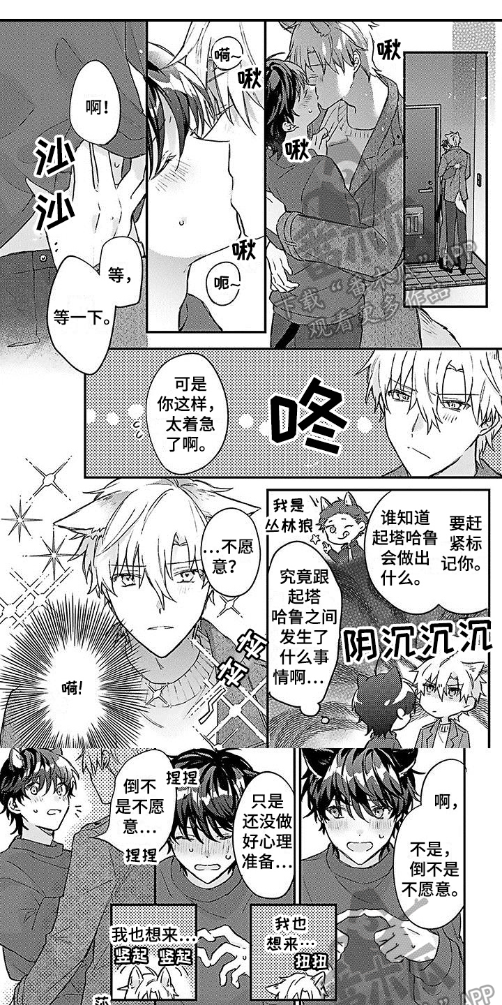 《猫会梦见王子吗》漫画最新章节第20章幸福觉悟【完结】免费下拉式在线观看章节第【8】张图片