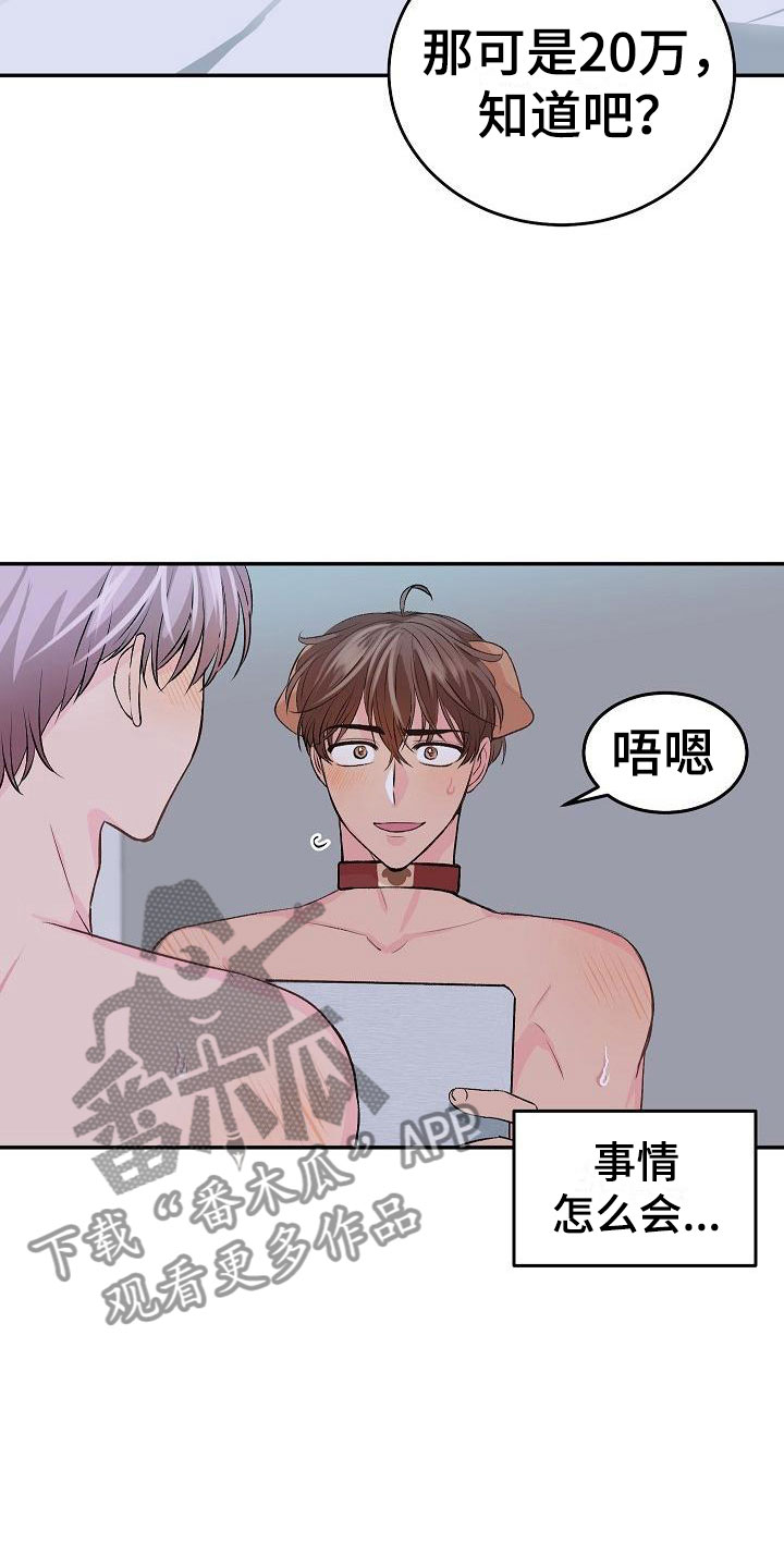 《偷心花园》漫画最新章节第24章我的狗男孩冷漠免费下拉式在线观看章节第【17】张图片