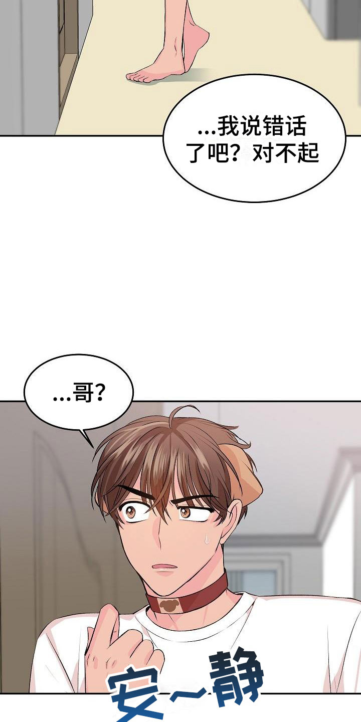 《偷心花园》漫画最新章节第26章我的狗男孩照片免费下拉式在线观看章节第【25】张图片