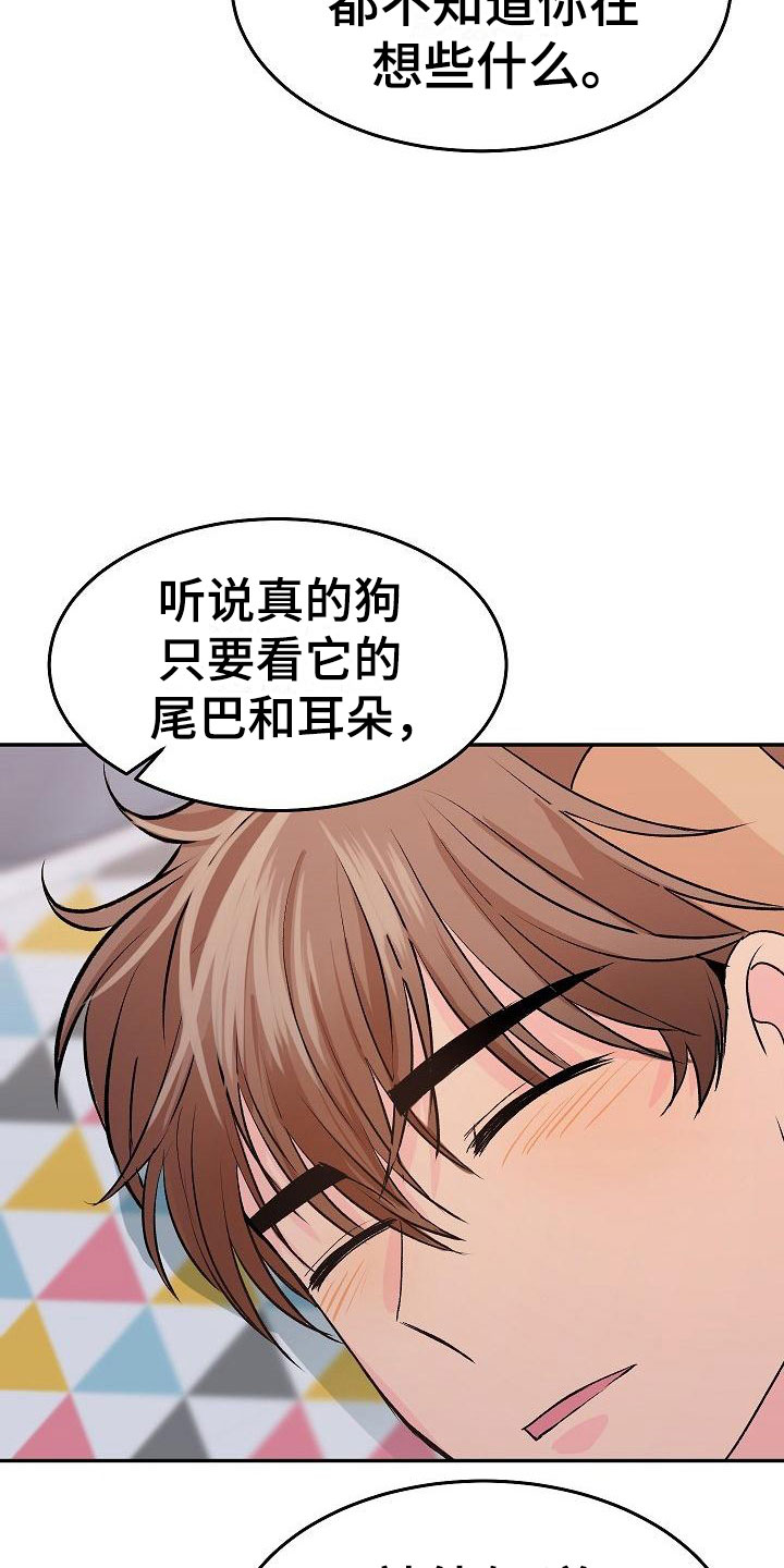 《偷心花园》漫画最新章节第27章我的狗男孩逃跑免费下拉式在线观看章节第【19】张图片