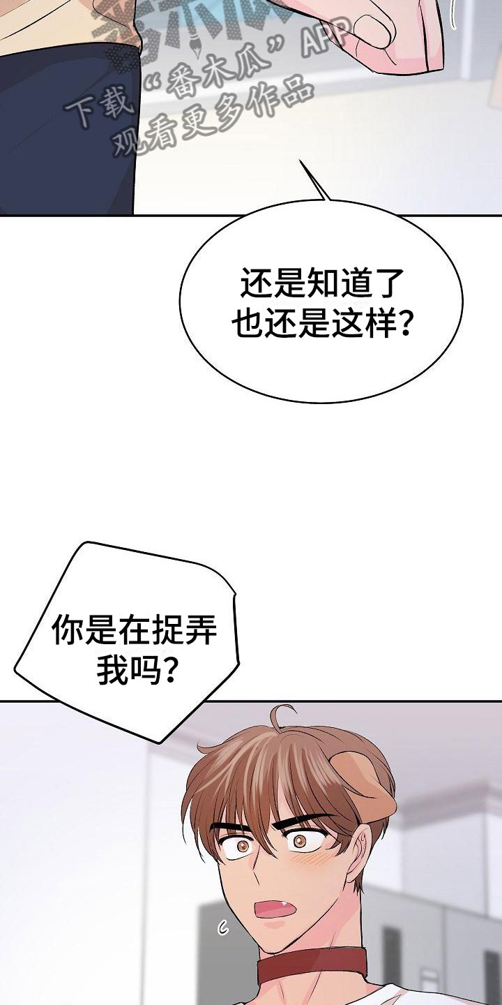 《偷心花园》漫画最新章节第27章我的狗男孩逃跑免费下拉式在线观看章节第【3】张图片