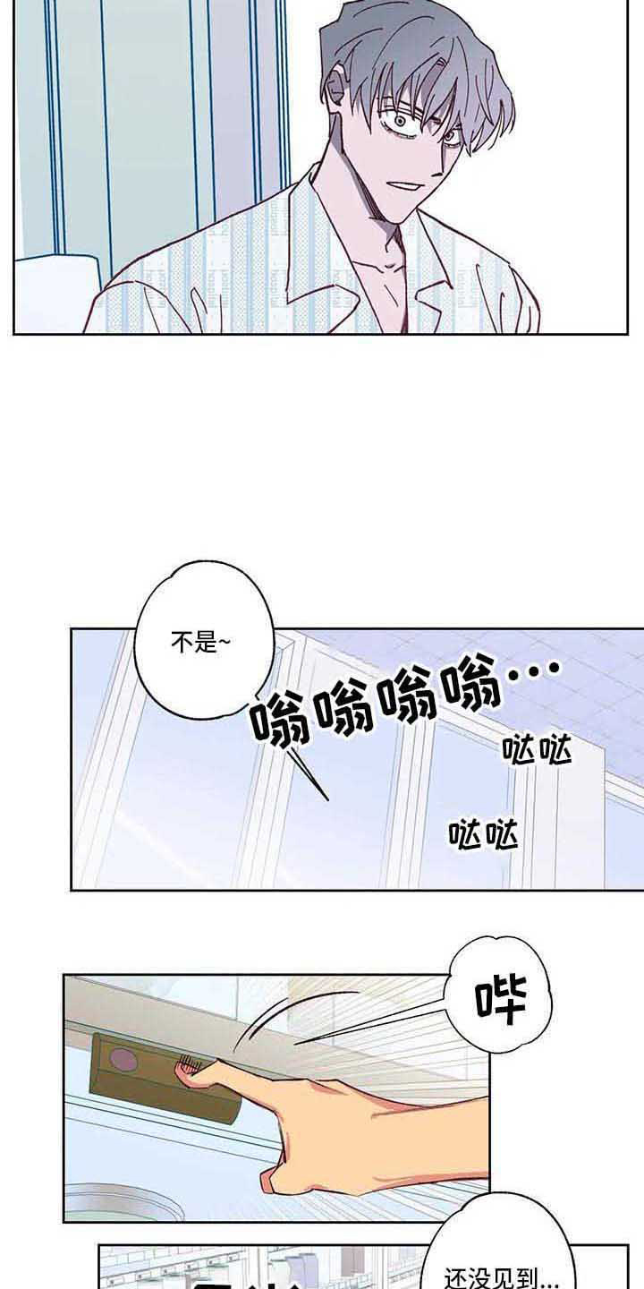 《未来世界》漫画最新章节第5章相遇免费下拉式在线观看章节第【6】张图片