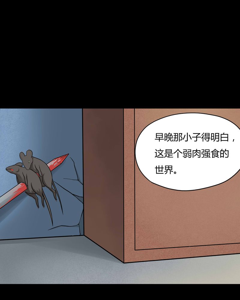 《诡中有诡》漫画最新章节第48章乐不思蜀（上）免费下拉式在线观看章节第【13】张图片