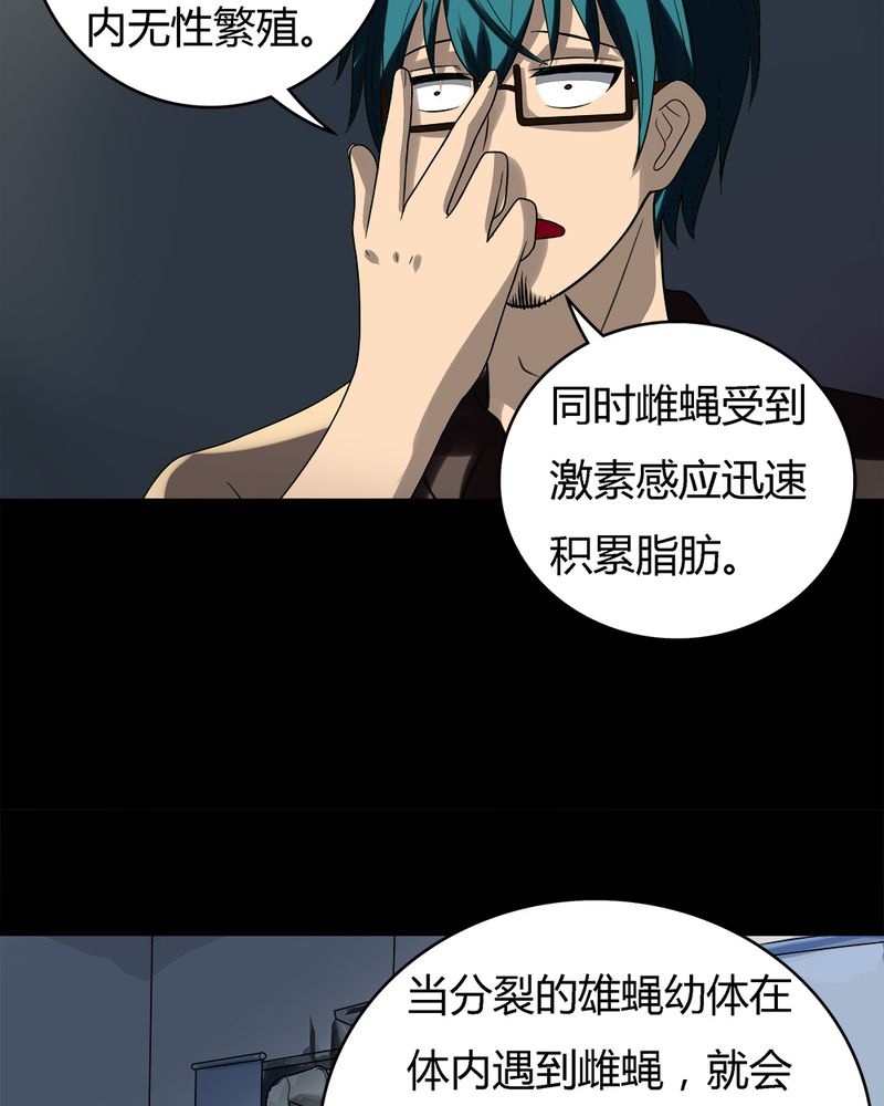 《诡中有诡》漫画最新章节第53章蝇小失大（下）免费下拉式在线观看章节第【4】张图片