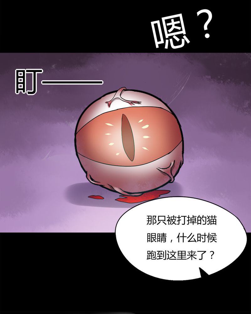 《诡中有诡》漫画最新章节第69章茹猫饮血（下）免费下拉式在线观看章节第【23】张图片