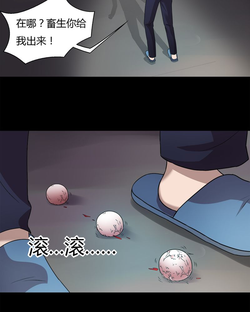 《诡中有诡》漫画最新章节第69章茹猫饮血（下）免费下拉式在线观看章节第【24】张图片