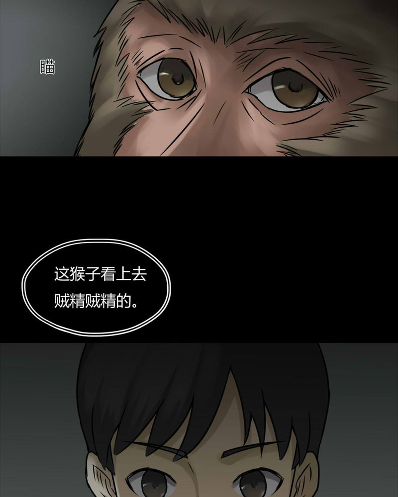 《诡中有诡》漫画最新章节第84章猴知猴觉（上）免费下拉式在线观看章节第【23】张图片