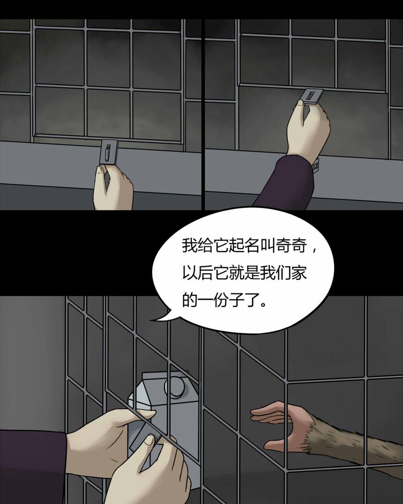 《诡中有诡》漫画最新章节第84章猴知猴觉（上）免费下拉式在线观看章节第【28】张图片