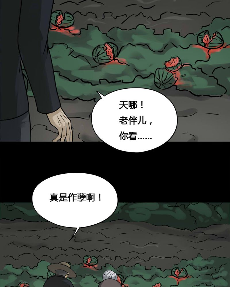 《诡中有诡》漫画最新章节第99章牵肠瓜肚（上）免费下拉式在线观看章节第【3】张图片