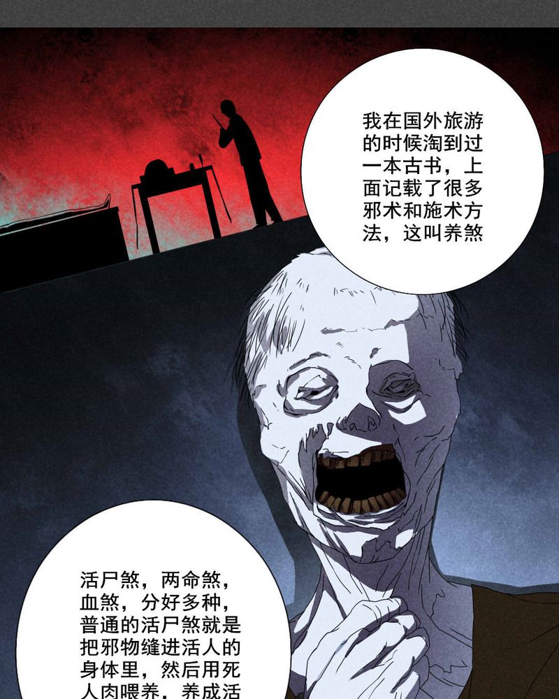 《入夜讲诡》漫画最新章节第22章养煞（五）免费下拉式在线观看章节第【8】张图片