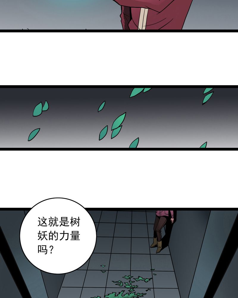 《不可思议少年》漫画最新章节第38章墓室的秘密免费下拉式在线观看章节第【26】张图片