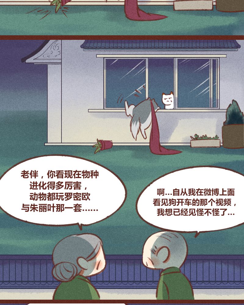 《神兽退散》漫画最新章节第24章免费下拉式在线观看章节第【9】张图片