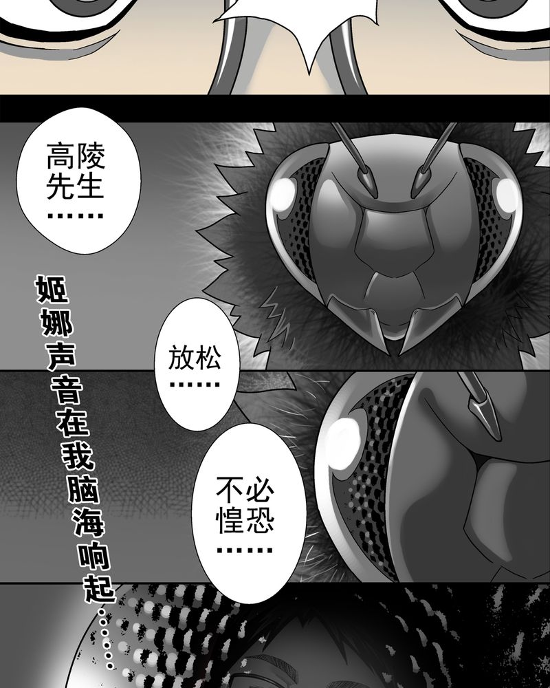 《高陵先生》漫画最新章节第6章蜂女完结篇免费下拉式在线观看章节第【17】张图片