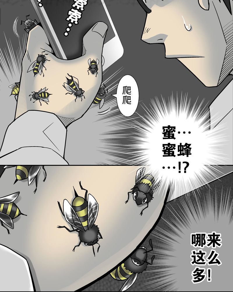 《高陵先生》漫画最新章节第6章蜂女完结篇免费下拉式在线观看章节第【28】张图片