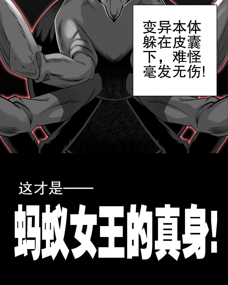 《高陵先生》漫画最新章节第55章援军免费下拉式在线观看章节第【27】张图片