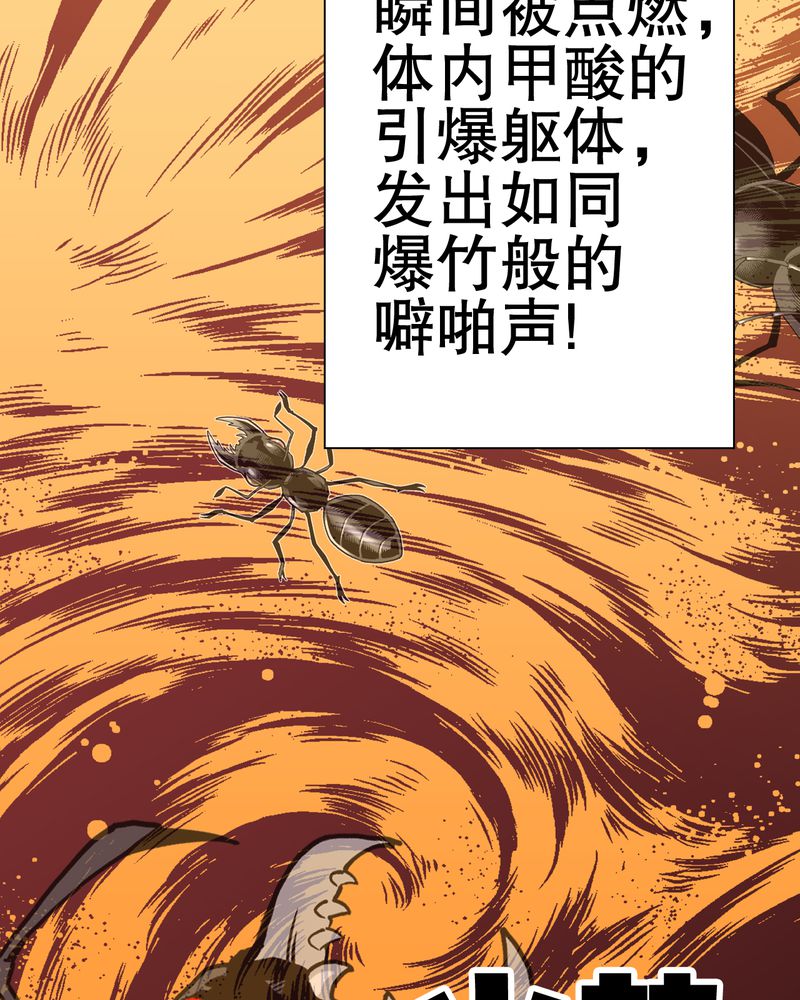 《高陵先生》漫画最新章节第58章高陵的火球术免费下拉式在线观看章节第【14】张图片