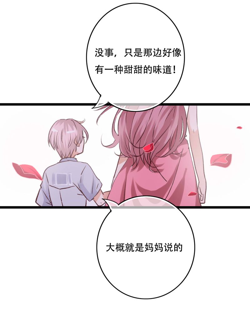 《雨后的盛夏》漫画最新章节第95章他们的婚礼免费下拉式在线观看章节第【3】张图片