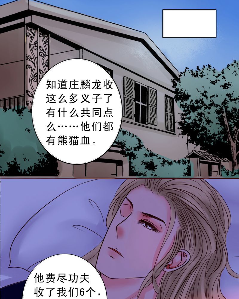 《浮生逸梦》漫画最新章节第49章命运交响曲免费下拉式在线观看章节第【14】张图片