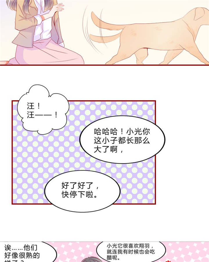 《男神还魂曲》漫画最新章节第13章乘胜追击免费下拉式在线观看章节第【28】张图片