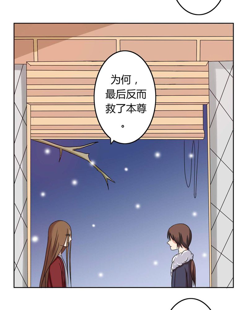 《异卷风华录》漫画最新章节第30章霜雪满头免费下拉式在线观看章节第【26】张图片