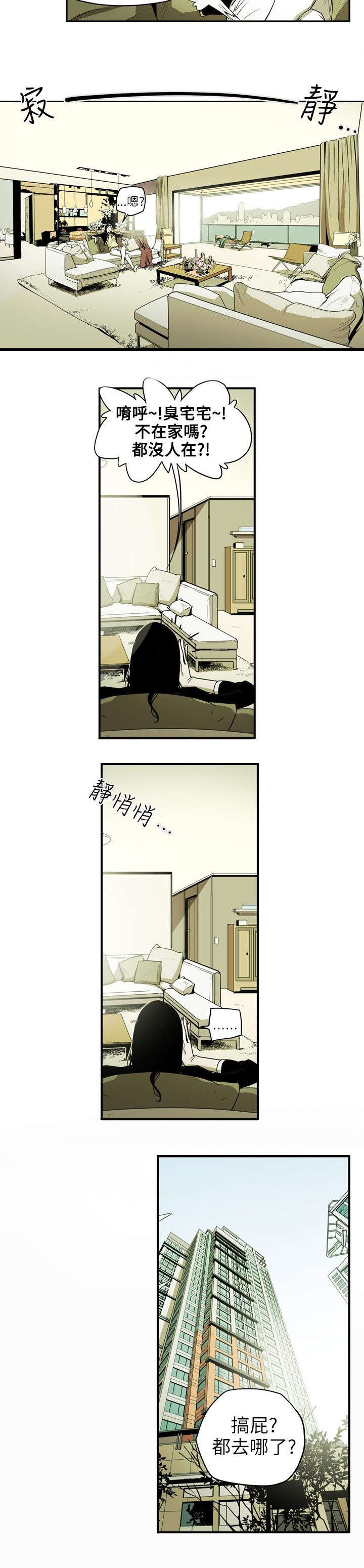 《温柔的骗局》漫画最新章节第17章身败免费下拉式在线观看章节第【11】张图片