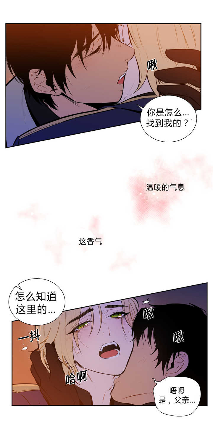 《圣杯》漫画最新章节第83章追逐香气免费下拉式在线观看章节第【17】张图片