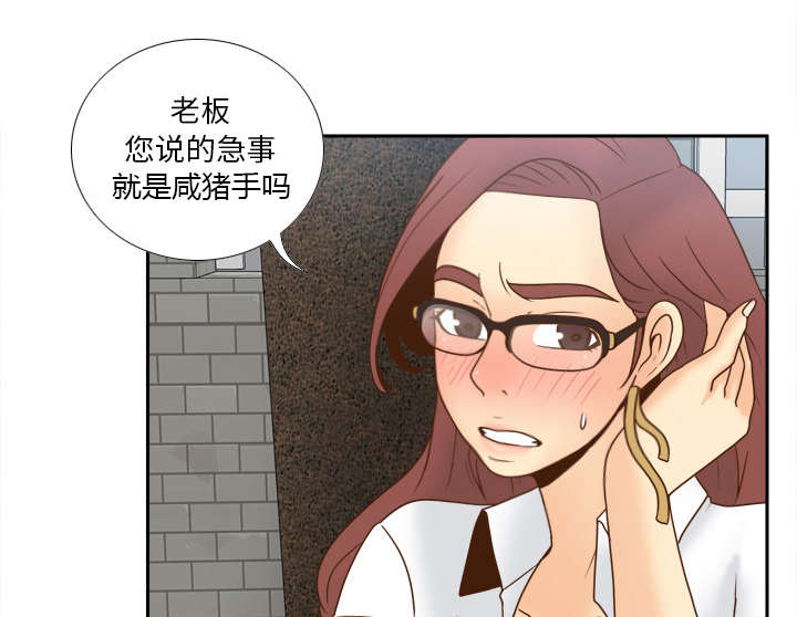 《玩具回收》漫画最新章节第62章侦查地址免费下拉式在线观看章节第【4】张图片