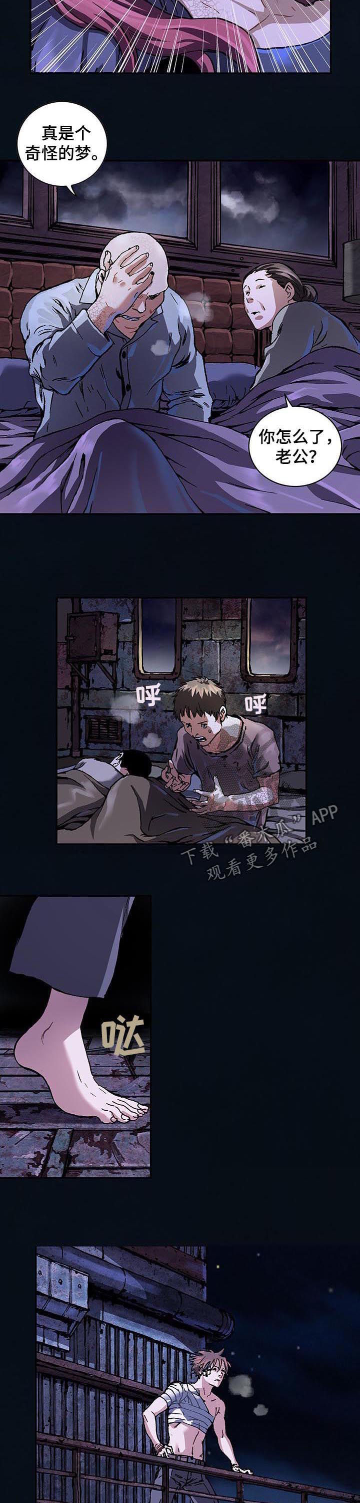 《末世泽国》漫画最新章节第233章相同的梦免费下拉式在线观看章节第【3】张图片