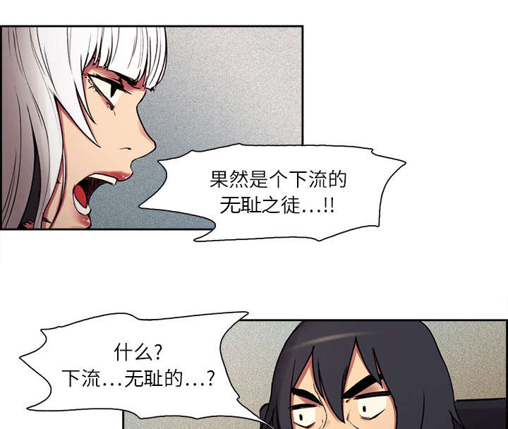 《魔夜录》漫画最新章节第10章移形换影免费下拉式在线观看章节第【22】张图片