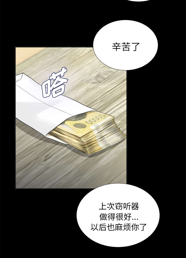 《泰山的遗产》漫画最新章节第24章双面间谍免费下拉式在线观看章节第【9】张图片