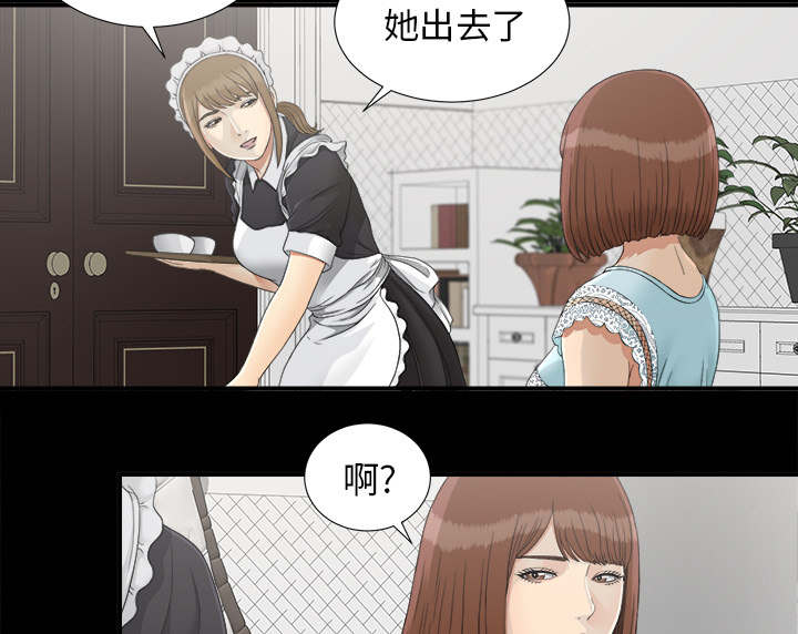 《泰山的遗产》漫画最新章节第76章计划免费下拉式在线观看章节第【20】张图片