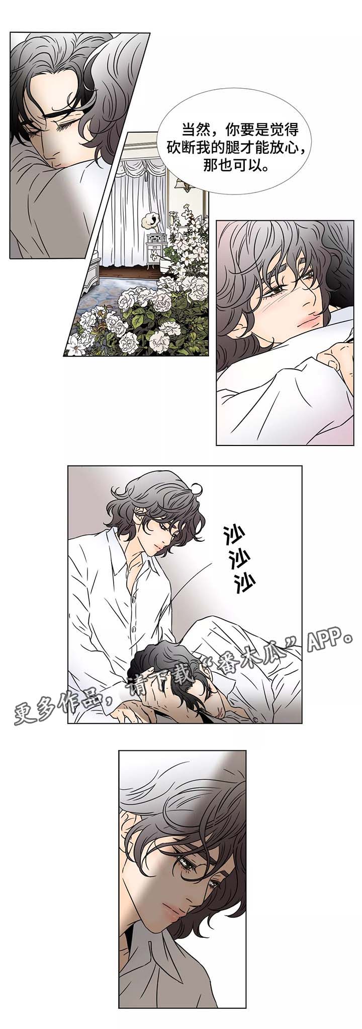 《笼中宠》漫画最新章节第94章罪恶和伤口由我承担（完结）免费下拉式在线观看章节第【9】张图片