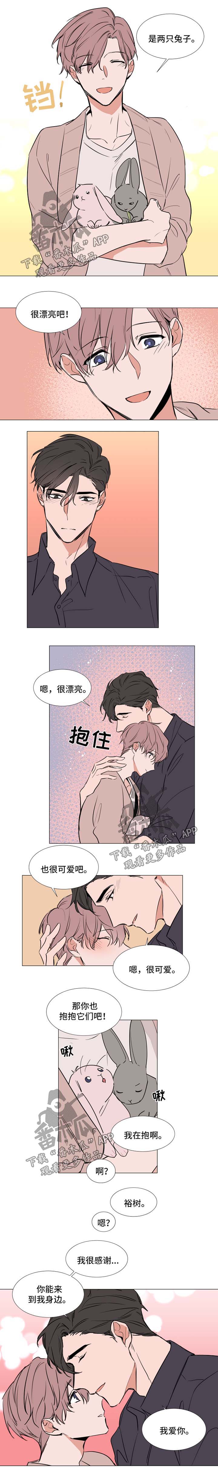 《植物效应》漫画最新章节第84章幸福生活（完结）免费下拉式在线观看章节第【2】张图片