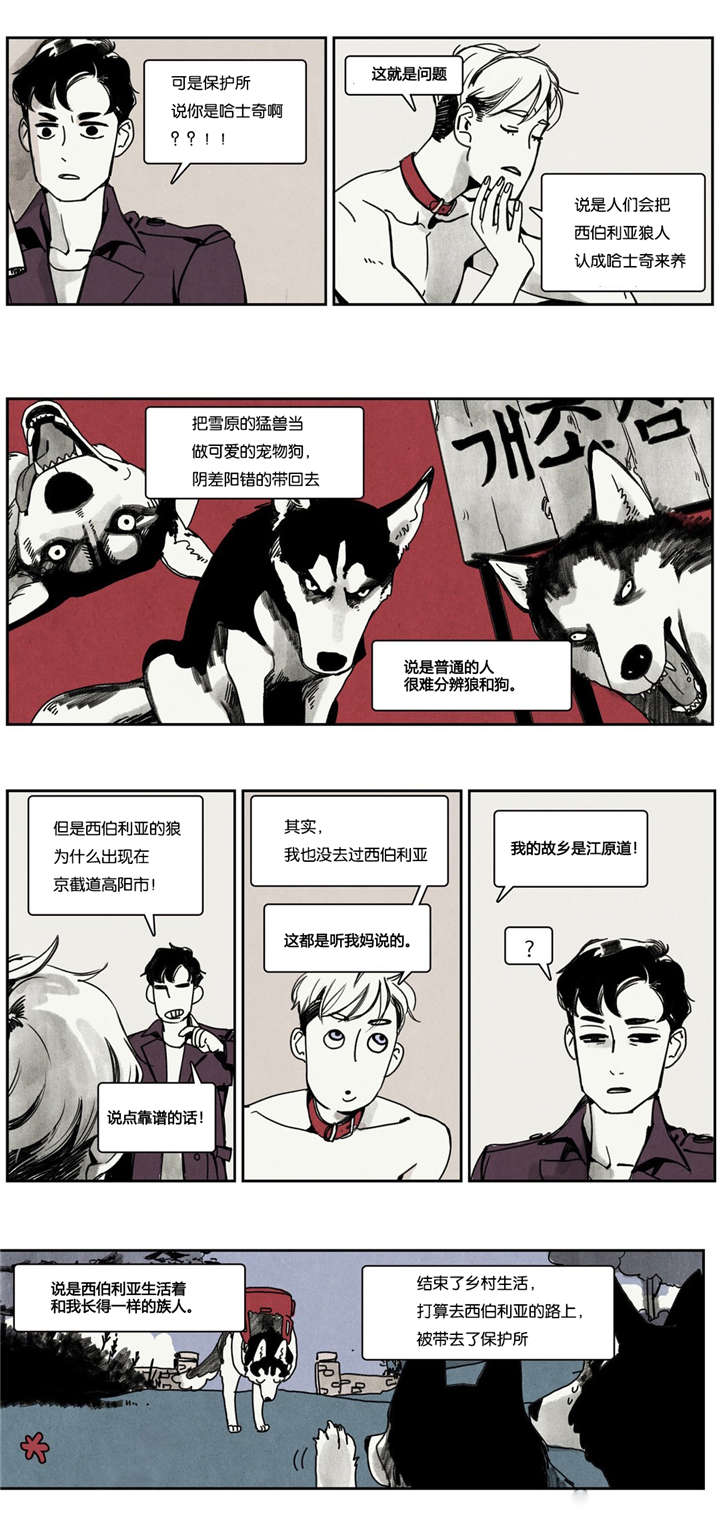 《入夜为人》漫画最新章节第2章狼人出现免费下拉式在线观看章节第【4】张图片