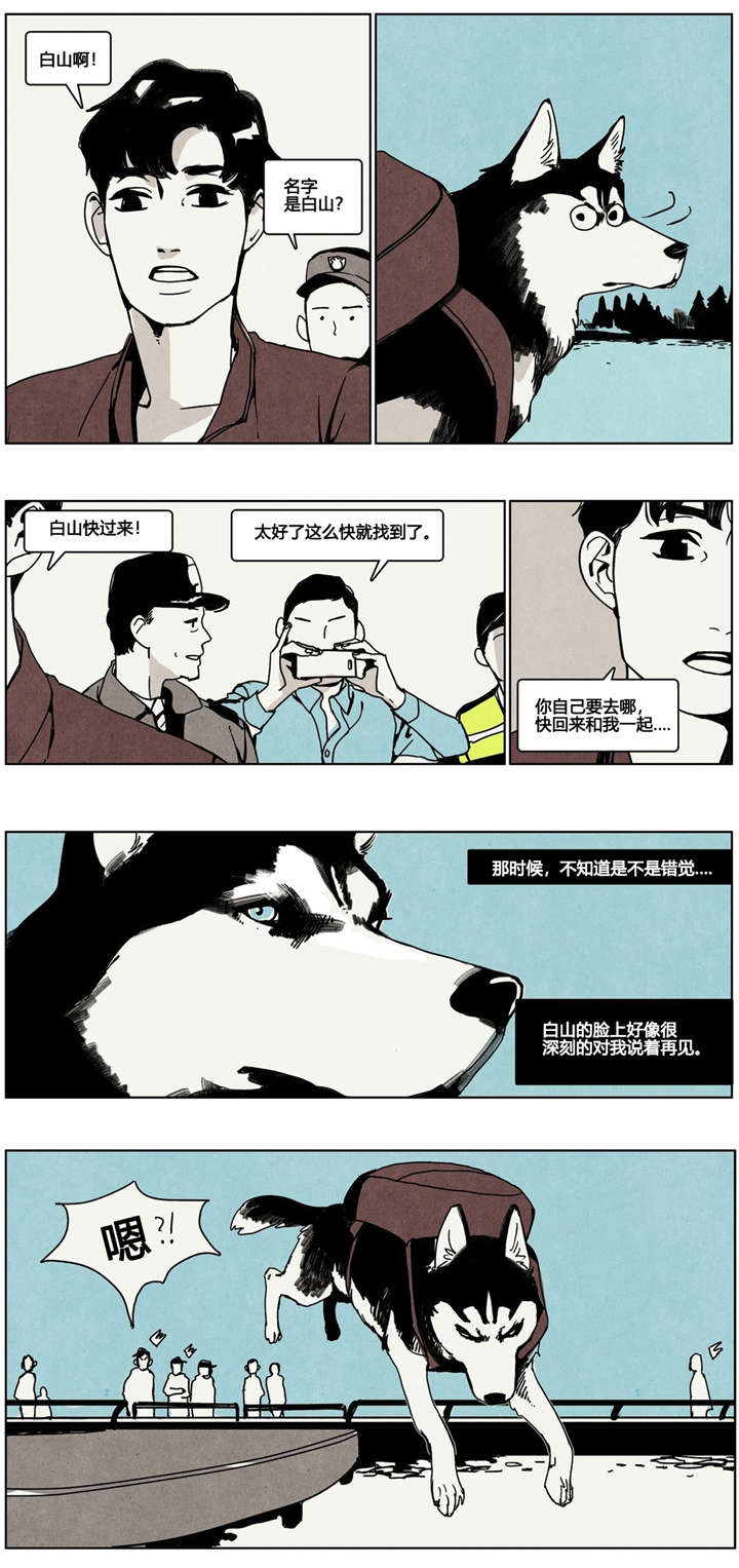 《入夜为人》漫画最新章节第5章狗狗寻家记免费下拉式在线观看章节第【3】张图片