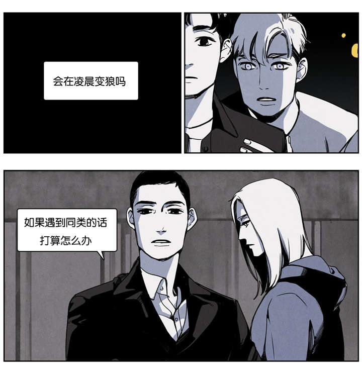 《入夜为人》漫画最新章节第16章正面交锋免费下拉式在线观看章节第【6】张图片